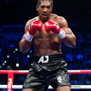 Энтони Джошуа 2026: шанс вернуть чемпионство